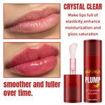 1/2PCS Lip Plump Long Lasting Lip Oil Moisturizing Lip Gloss Serum Instant Volumising Essence Oil Repair Lip Fine Lines Increase